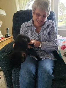 Adoptions increase 20% in March 2020 22