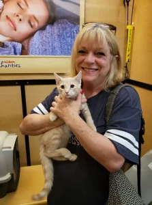 Adoptions increase 20% in March 2020 23