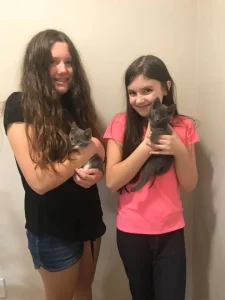 Adoptions increase 20% in March 2020 19