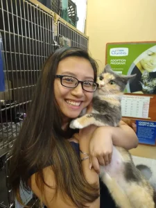 Adoptions increase 20% in March 2020 18