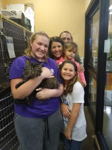 Adoptions increase 20% in March 2020 17