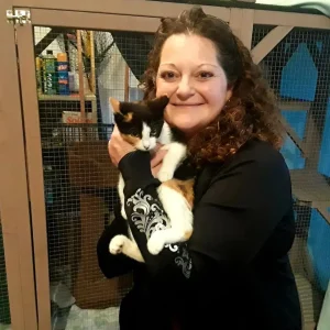 Adoptions increase 20% in March 2020 13