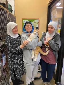 Adoptions increase 20% in March 2020 4