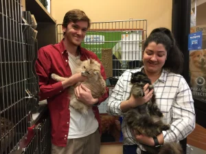 Adoptions increase 20% in March 2020 20