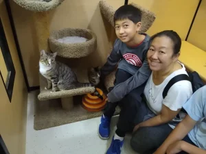 Adoptions increase 20% in March 2020 10