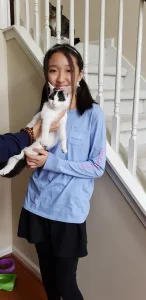 Adoptions increase 20% in March 2020 8