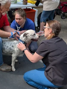 Compassion in Action: Over 200 Pets Served at Newton County Outreach Event 4 Volunteers checking out a pup.