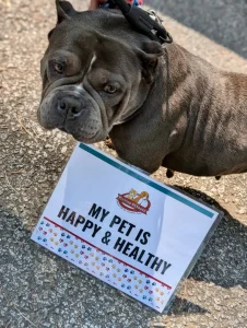Compassion in Action: Over 200 Pets Served at Newton County Outreach Event 3 A dog with a sign that says, "my pet is happy & healthy"